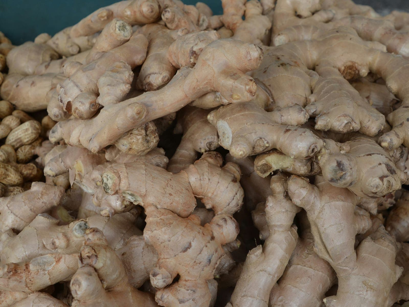 Ginger