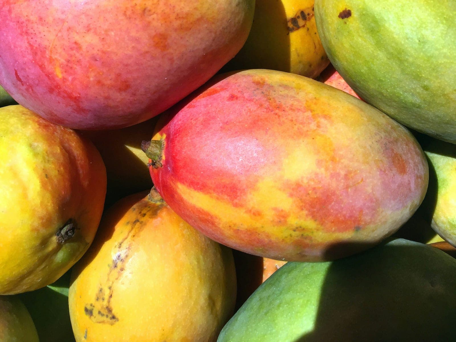 Mango