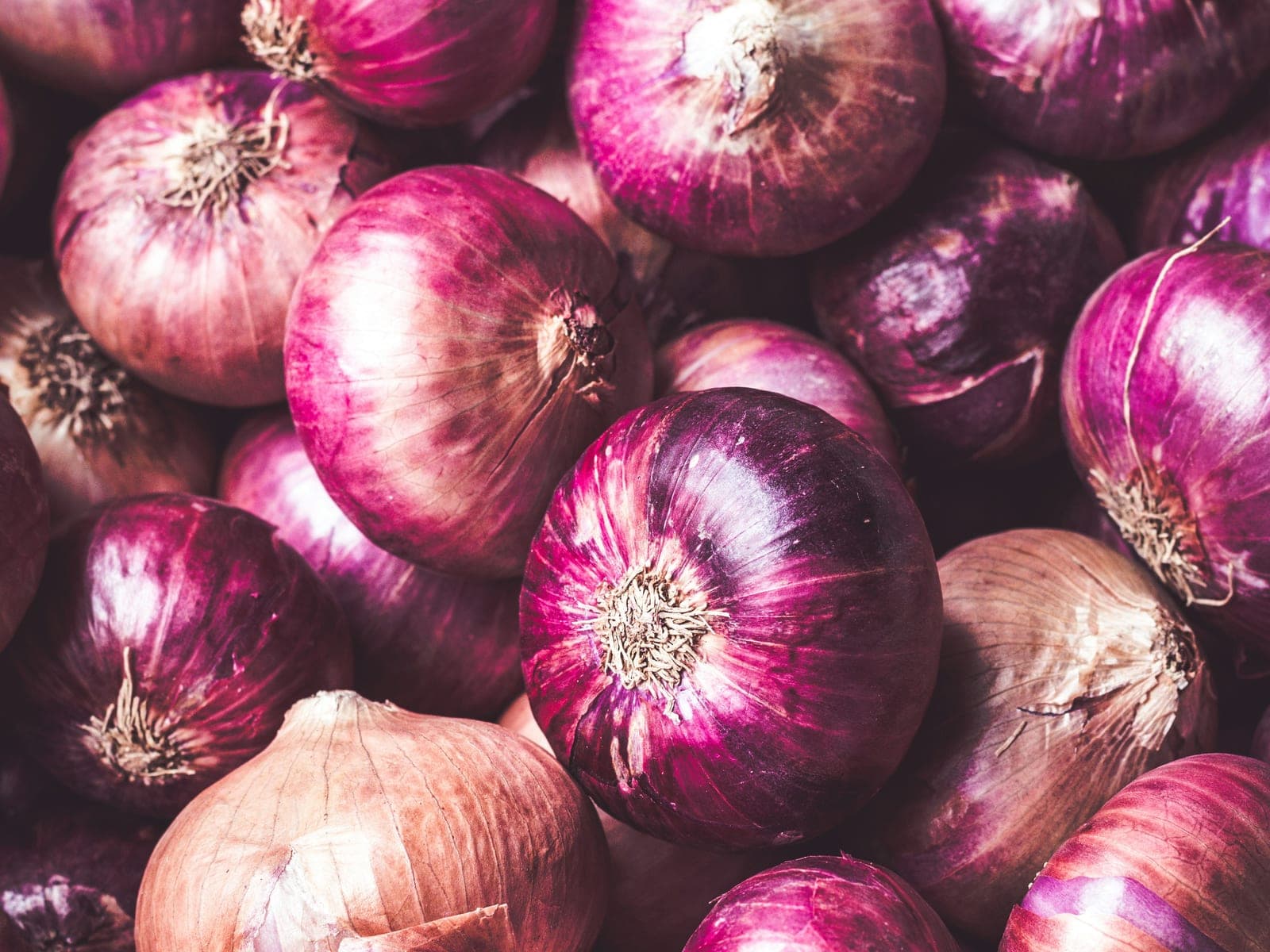 Onion