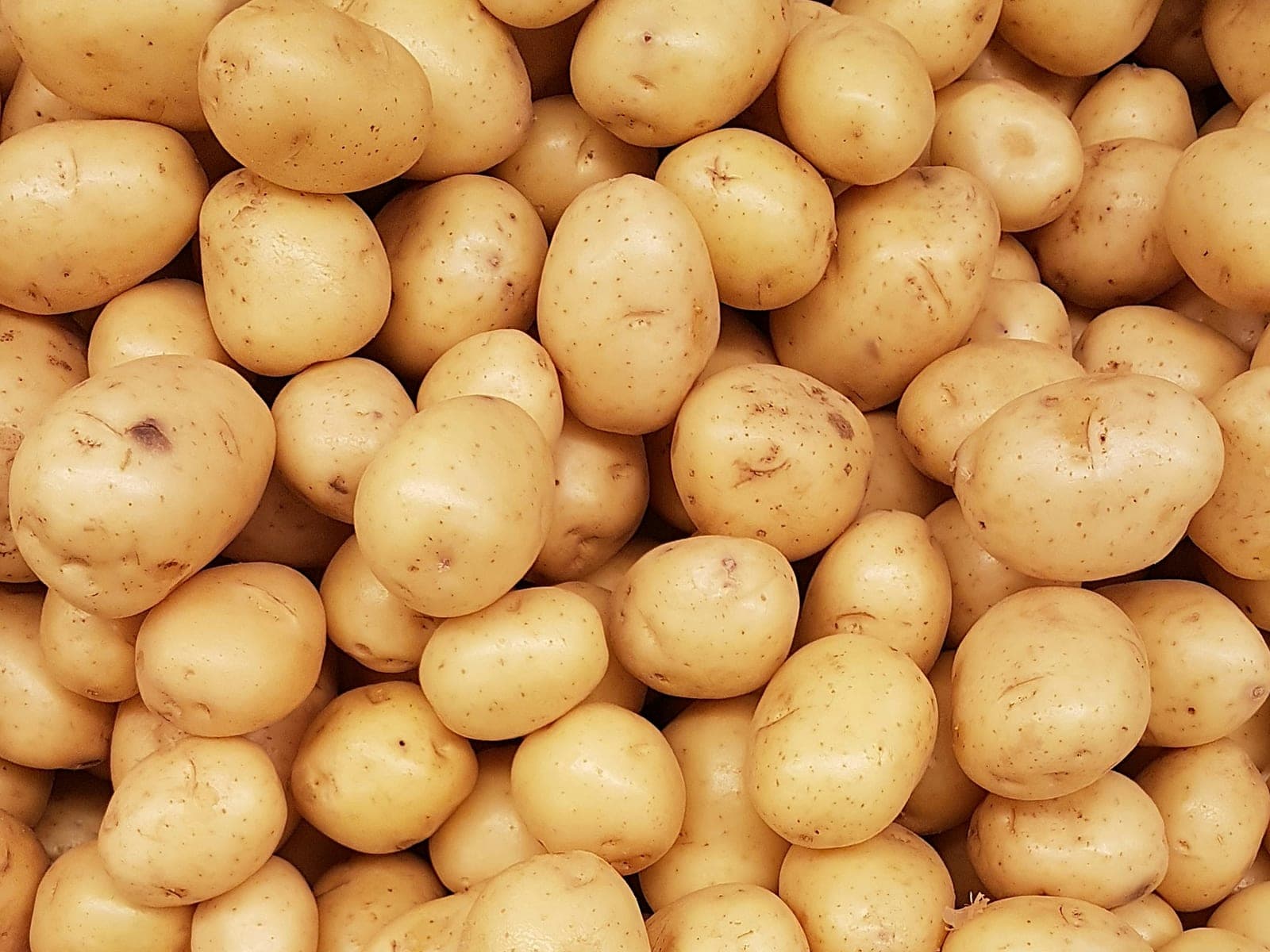 Potato