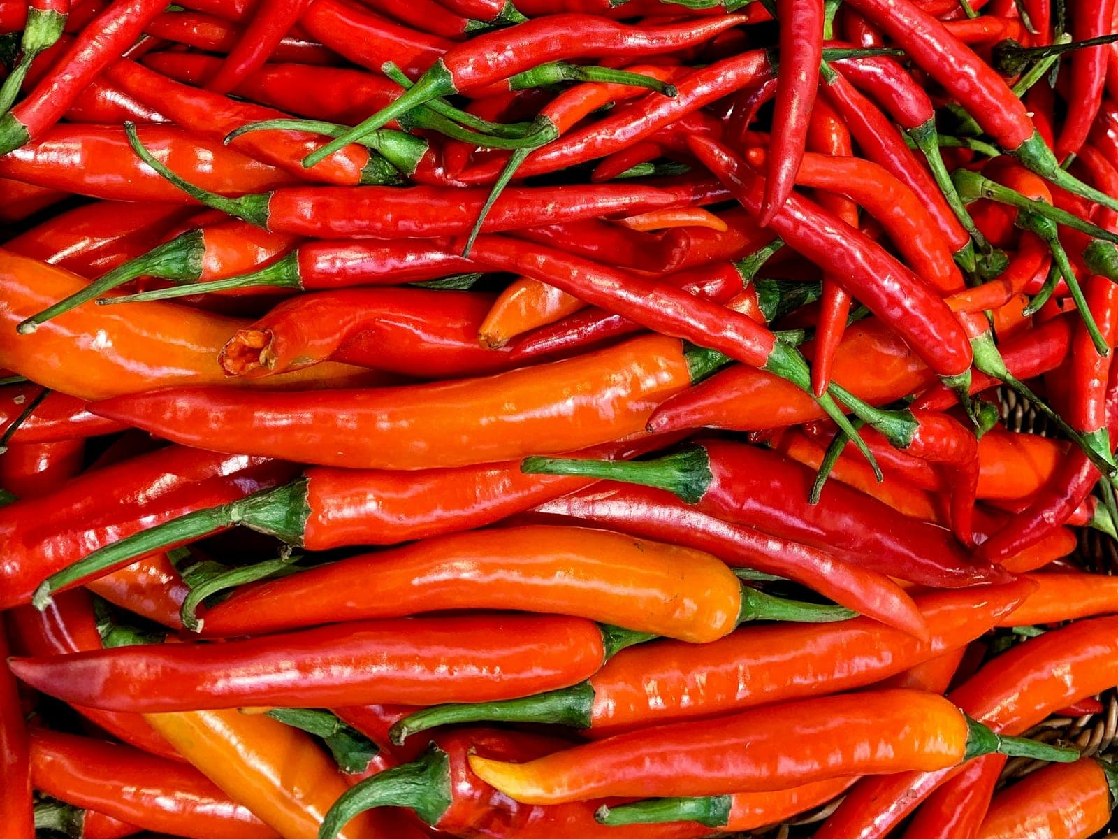 Red Chilli
