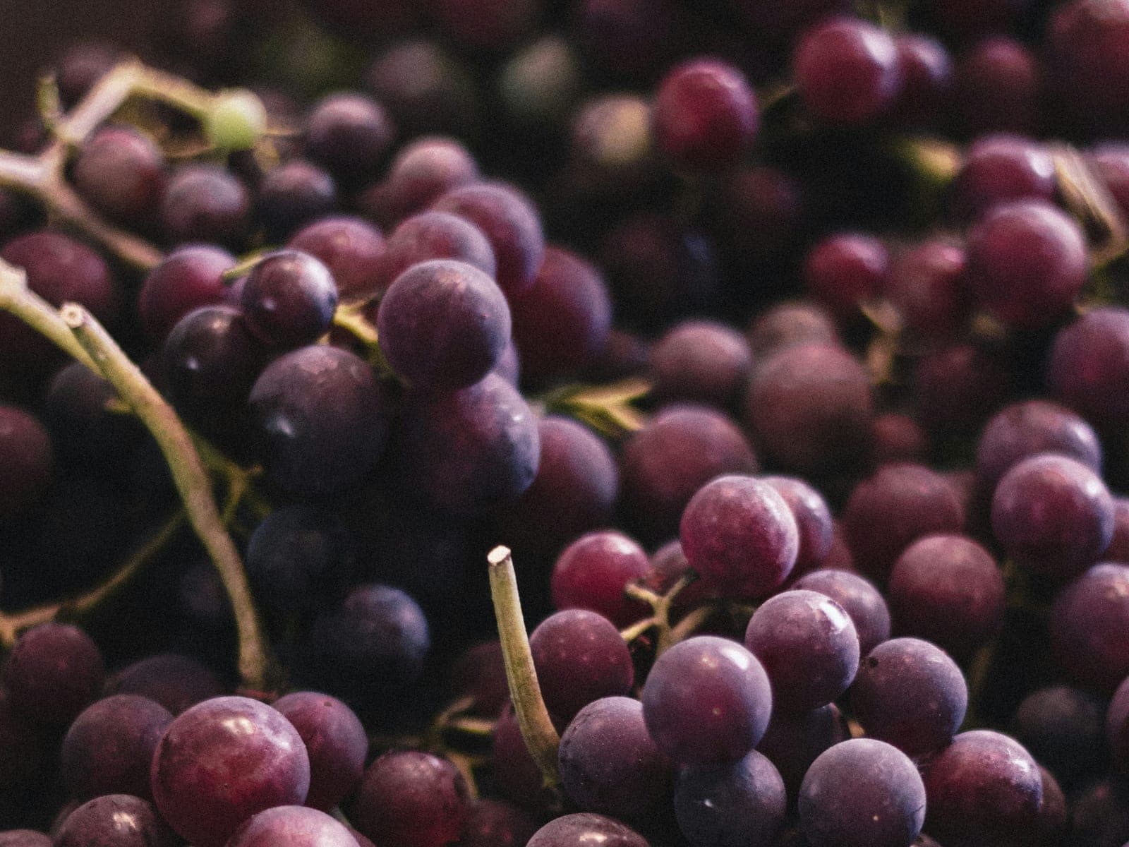 Grapes