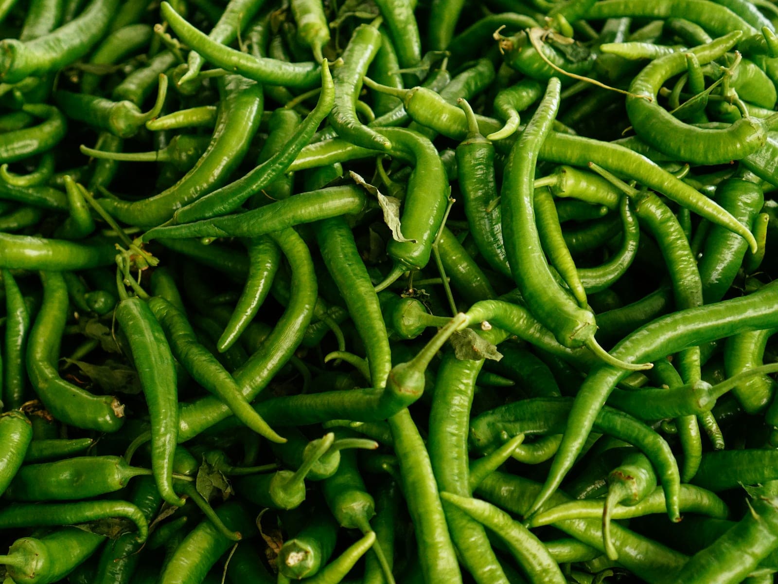 Green Chilli